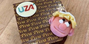 PIVA Nursing brownie voor het UZA